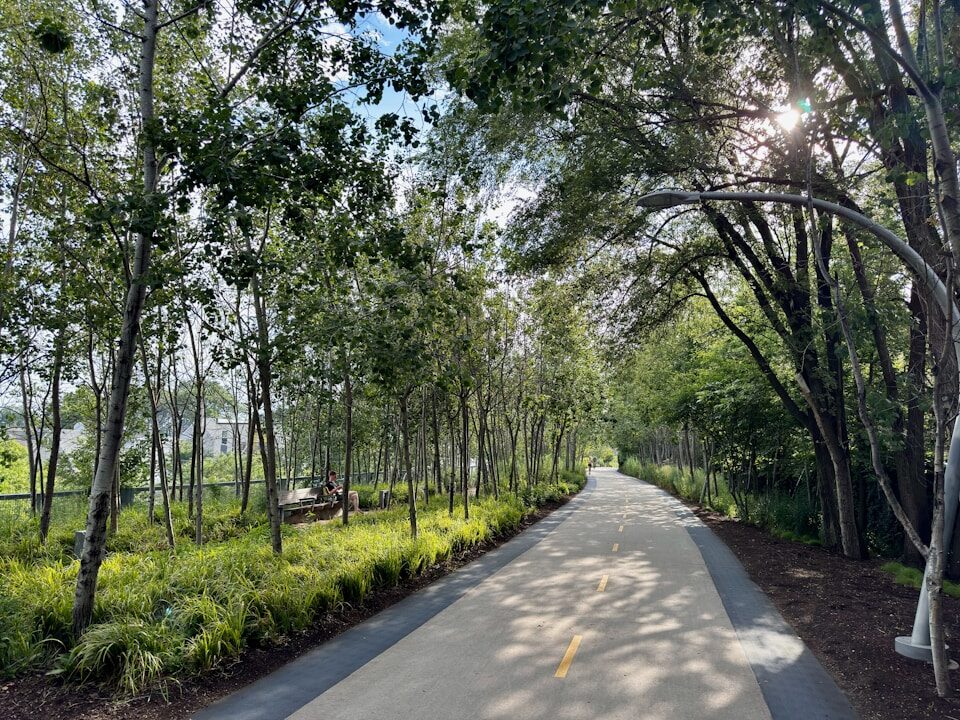 A street with trees on both sides of it